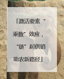 激活要素“乘数”效应，“链”起供销助农新路径