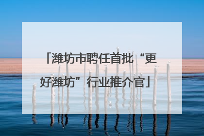 潍坊市聘任首批“更好潍坊”行业推介官