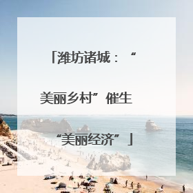 潍坊诸城：“美丽乡村”催生“美丽经济”