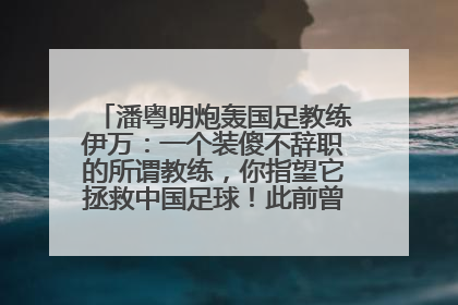 潘粤明炮轰国足教练伊万：一个装傻不辞职的所谓教练，你指望它拯救中国足球！此前曾多次发文评价国足
