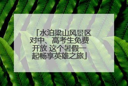 水泊梁山风景区对中、高考生免费开放 这个暑假一起畅享英雄之旅