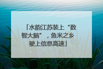 水韵江苏装上“数智大脑”，鱼米之乡驶上信息高速