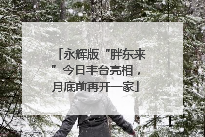 永辉版“胖东来”今日丰台亮相，月底前再开一家