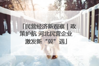 民营经济新观察｜政策护航 河北民营企业激发新“冀”遇