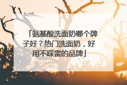 氨基酸洗面奶哪个牌子好？热门洗面奶，好用不踩雷的品牌