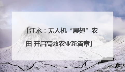江永：无人机“展翅”农田 开启高效农业新篇章