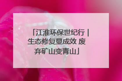 江淮环保世纪行｜生态修复显成效 废弃矿山变青山