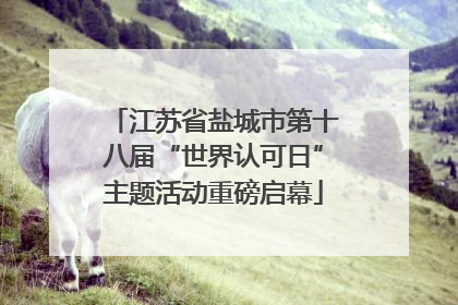 江苏省盐城市第十八届“世界认可日”主题活动重磅启幕