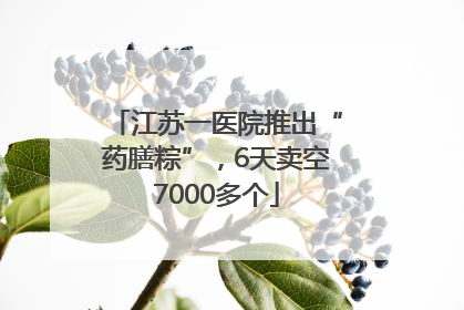 江苏一医院推出“药膳粽”，6天卖空7000多个