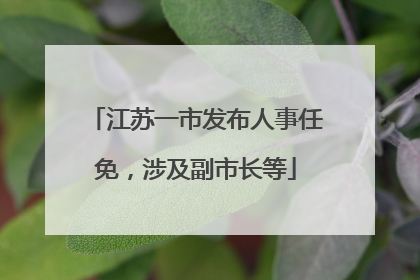 江苏一市发布人事任免，涉及副市长等