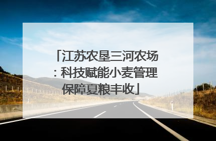 江苏农垦三河农场：科技赋能小麦管理保障夏粮丰收