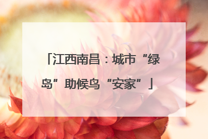 江西南昌：城市“绿岛”助候鸟“安家”