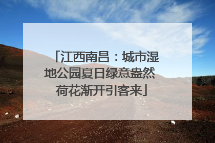江西南昌：城市湿地公园夏日绿意盎然 荷花渐开引客来