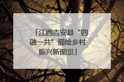 江西吉安县“四融一共”描绘乡村振兴新图景
