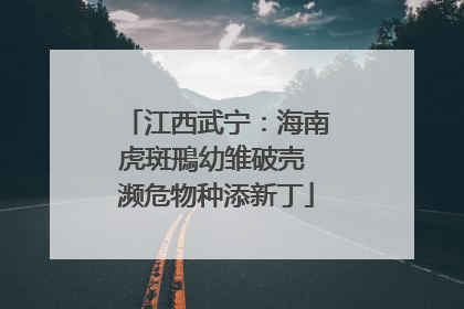 江西武宁：海南虎斑鳽幼雏破壳 濒危物种添新丁