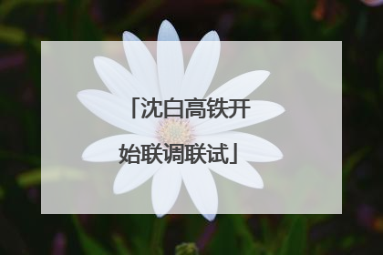 沈白高铁开始联调联试