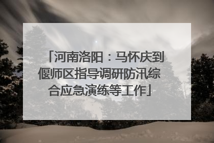 河南洛阳：马怀庆到偃师区指导调研防汛综合应急演练等工作
