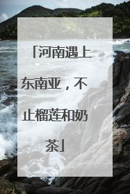 河南遇上东南亚，不止榴莲和奶茶