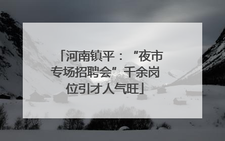 河南镇平：“夜市专场招聘会”千余岗位引才人气旺