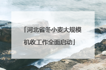 河北省冬小麦大规模机收工作全面启动