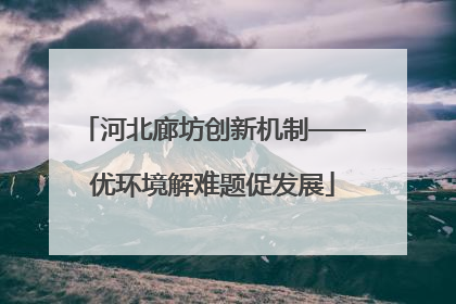河北廊坊创新机制——优环境解难题促发展