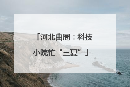 河北曲周：科技小院忙“三夏”