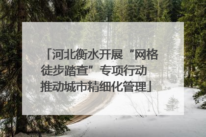 河北衡水开展“网格徒步踏查”专项行动 推动城市精细化管理