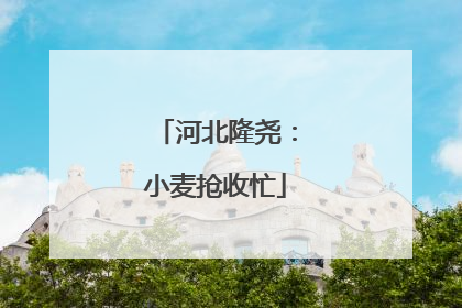 河北隆尧：小麦抢收忙