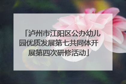 泸州市江阳区公办幼儿园优质发展第七共同体开展第四次研修活动