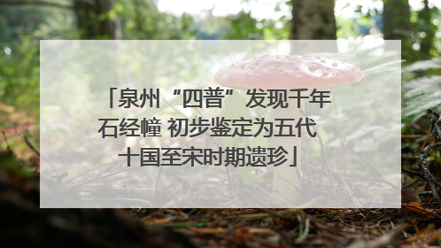 泉州“四普”发现千年石经幢 初步鉴定为五代十国至宋时期遗珍