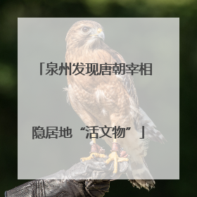 泉州发现唐朝宰相隐居地“活文物”