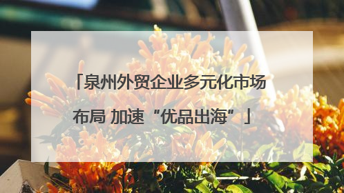泉州外贸企业多元化市场布局 加速“优品出海”