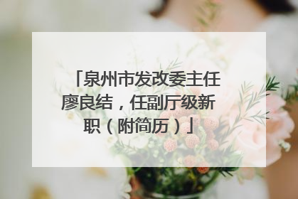 泉州市发改委主任廖良结，任副厅级新职（附简历）