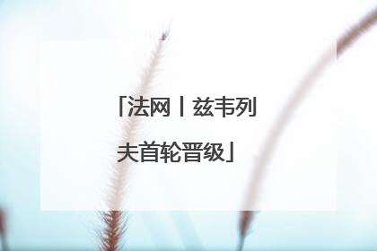 法网丨兹韦列夫首轮晋级