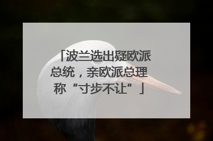 波兰选出疑欧派总统，亲欧派总理称“寸步不让”