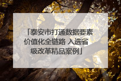 泰安市打通数据要素价值化全链路 入选省级改革精品案例