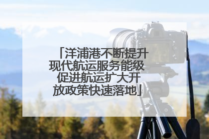 洋浦港不断提升现代航运服务能级 促进航运扩大开放政策快速落地