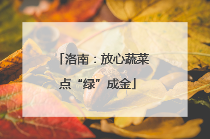 洛南：放心蔬菜点“绿”成金