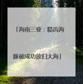 海南三亚：糙齿海豚被成功放归大海