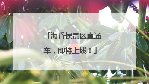 海昏侯景区直通车，即将上线！
