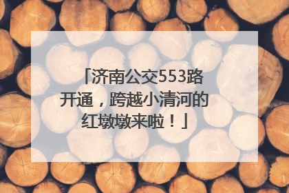 济南公交553路开通，跨越小清河的红墩墩来啦！