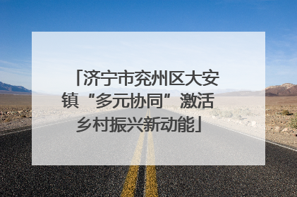 济宁市兖州区大安镇“多元协同”激活乡村振兴新动能