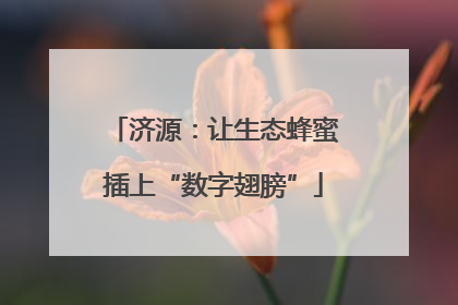 济源：让生态蜂蜜插上“数字翅膀”