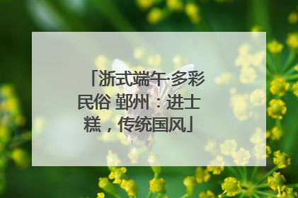 浙式端午·多彩民俗 鄞州：进士糕，传统国风