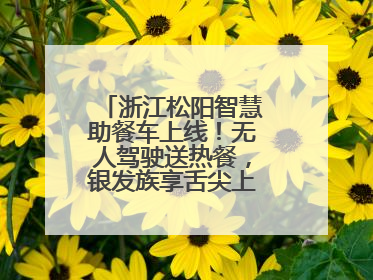浙江松阳智慧助餐车上线！无人驾驶送热餐，银发族享舌尖上的科技关怀