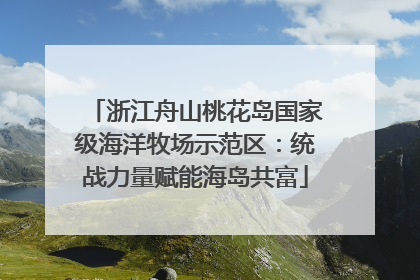 浙江舟山桃花岛国家级海洋牧场示范区：统战力量赋能海岛共富