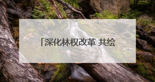 深化林权改革 共绘生态蓝图——山西省临汾市召开集体林权制度改革专题研讨会
