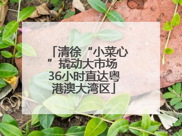 清徐“小菜心”撬动大市场 36小时直达粤港澳大湾区