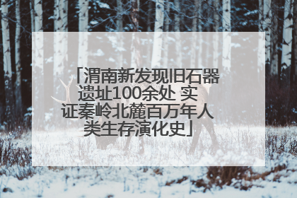 渭南新发现旧石器遗址100余处 实证秦岭北麓百万年人类生存演化史