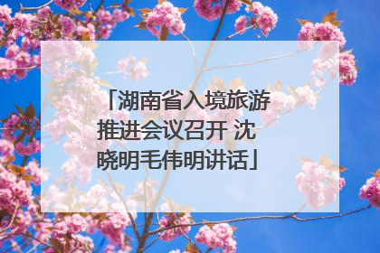 湖南省入境旅游推进会议召开 沈晓明毛伟明讲话